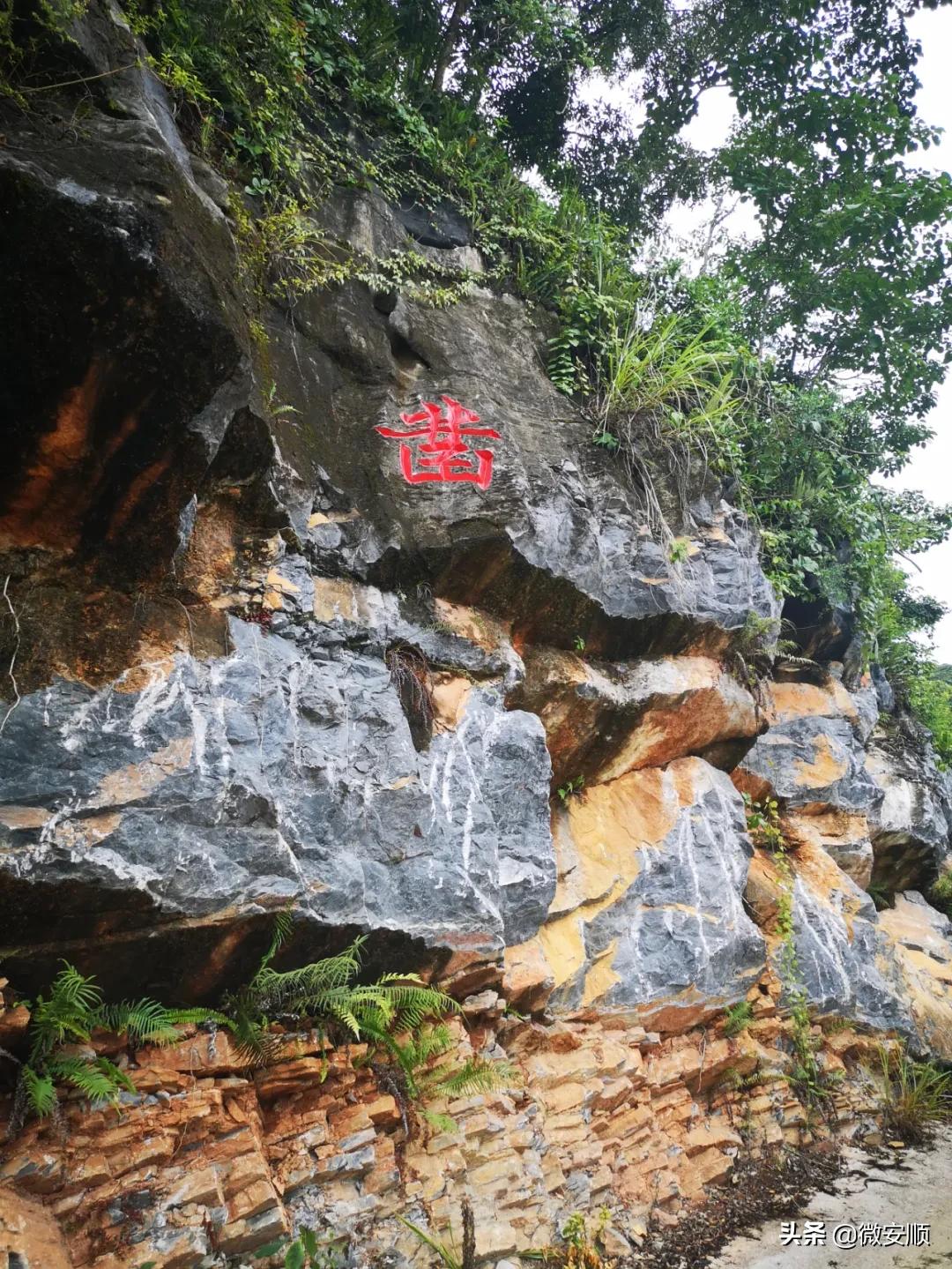 【农民日报推出《特困片区脱贫记》系列报告文学⑨】开在石头上的花