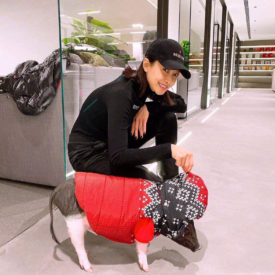 陈伟霆在家追狗,陈伟霆追狗