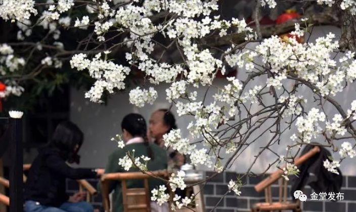 哇！比成都一环路还长6公里！金堂县城外环线全线通车