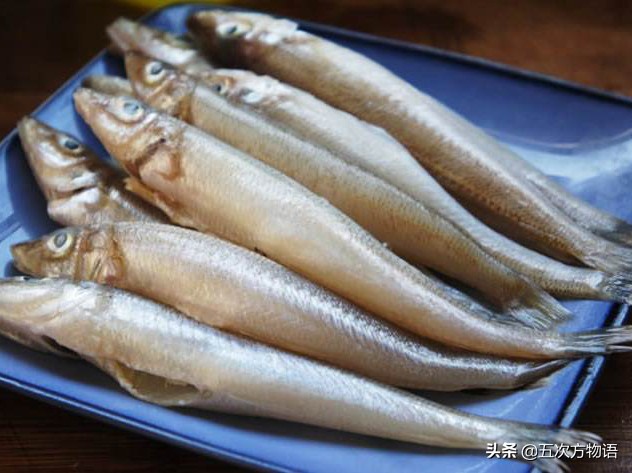 沙丁鱼的故事是真是假,沙丁鱼未解之谜是什么