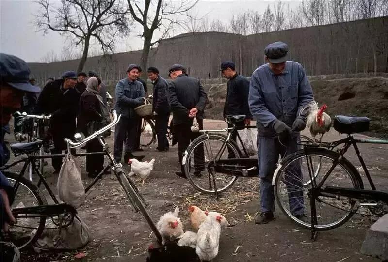 母亲讲“你要替我写本书”——男性力量在家庭中的缺失（连载4）