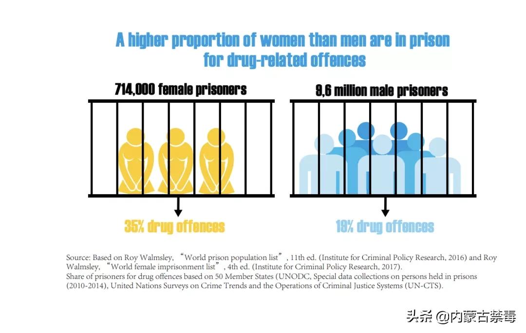 震惊！在某些国家，家庭主妇正在成为贩毒集团的主力军