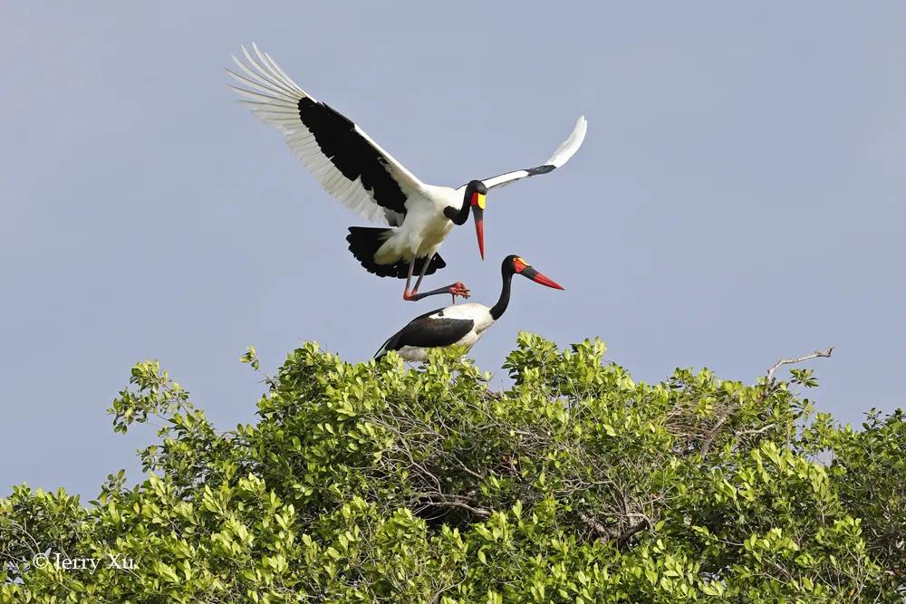 情人节适合干什么事,情人节对方做过最让你感动的事