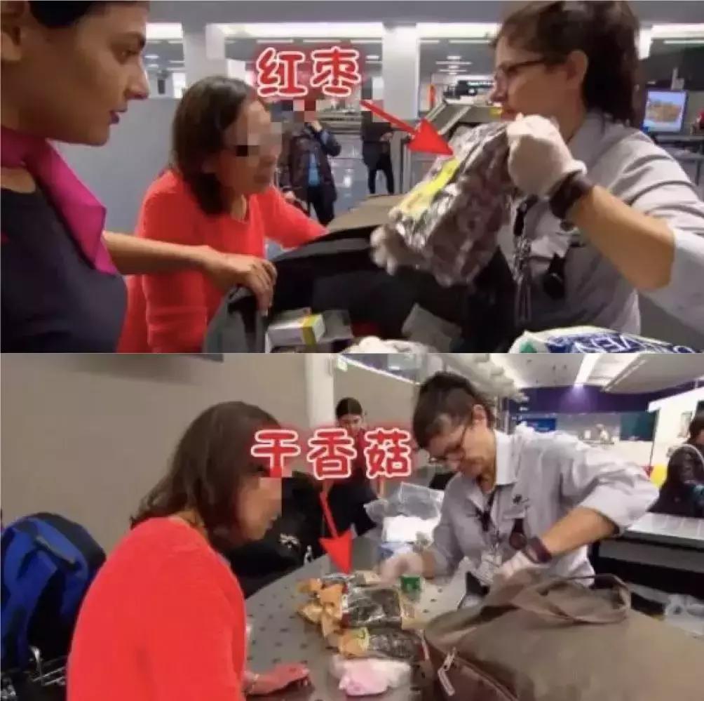 入境新加坡可以携带少量牛肉干,入境为什么不可以带水果和肉类