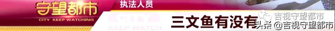 长春市政府新开的海鲜批发市场,长春水产海鲜批发市场