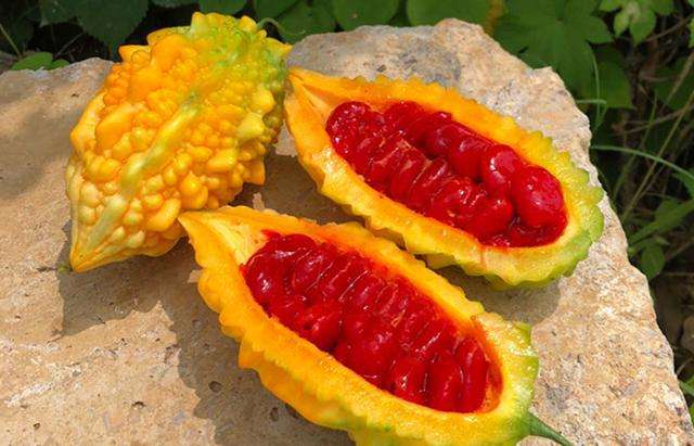 世界上十种稀奇水果你吃过几种,世上最奇葩最奇怪的水果都有哪些