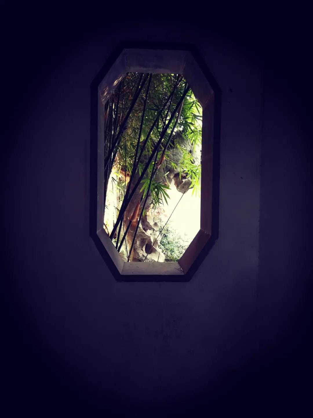 上海启庐太湖启园,太湖启园门票最新消息