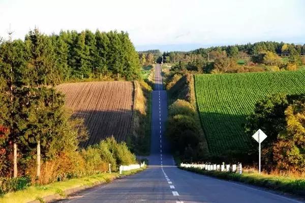 日本白川乡旅游攻略,上海去日本旅游最好的攻略