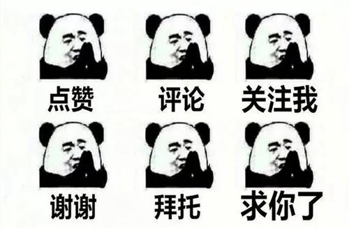 养羊如何看羊的品种,养羊怎么判断母羊下几只小羊