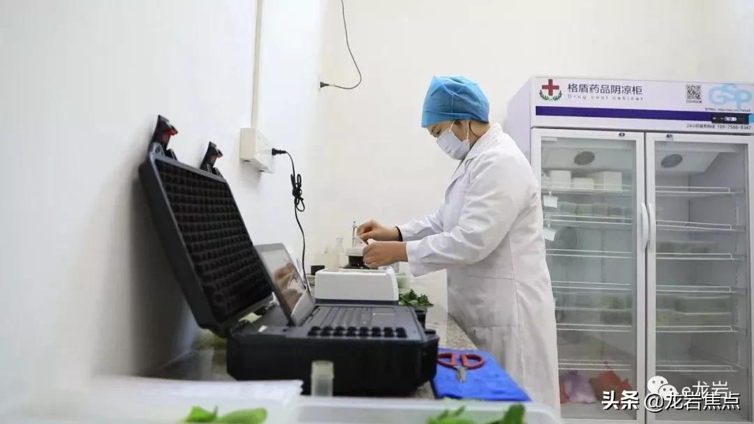 疫情期间互联网产品怎么做,疫情期间生鲜电商体验