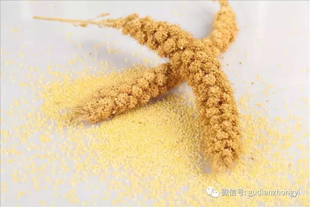 小米是养胃的好杂粮,小米五谷杂粮