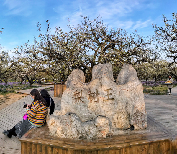 春游江淮请你来滁州版,春游江淮等您来