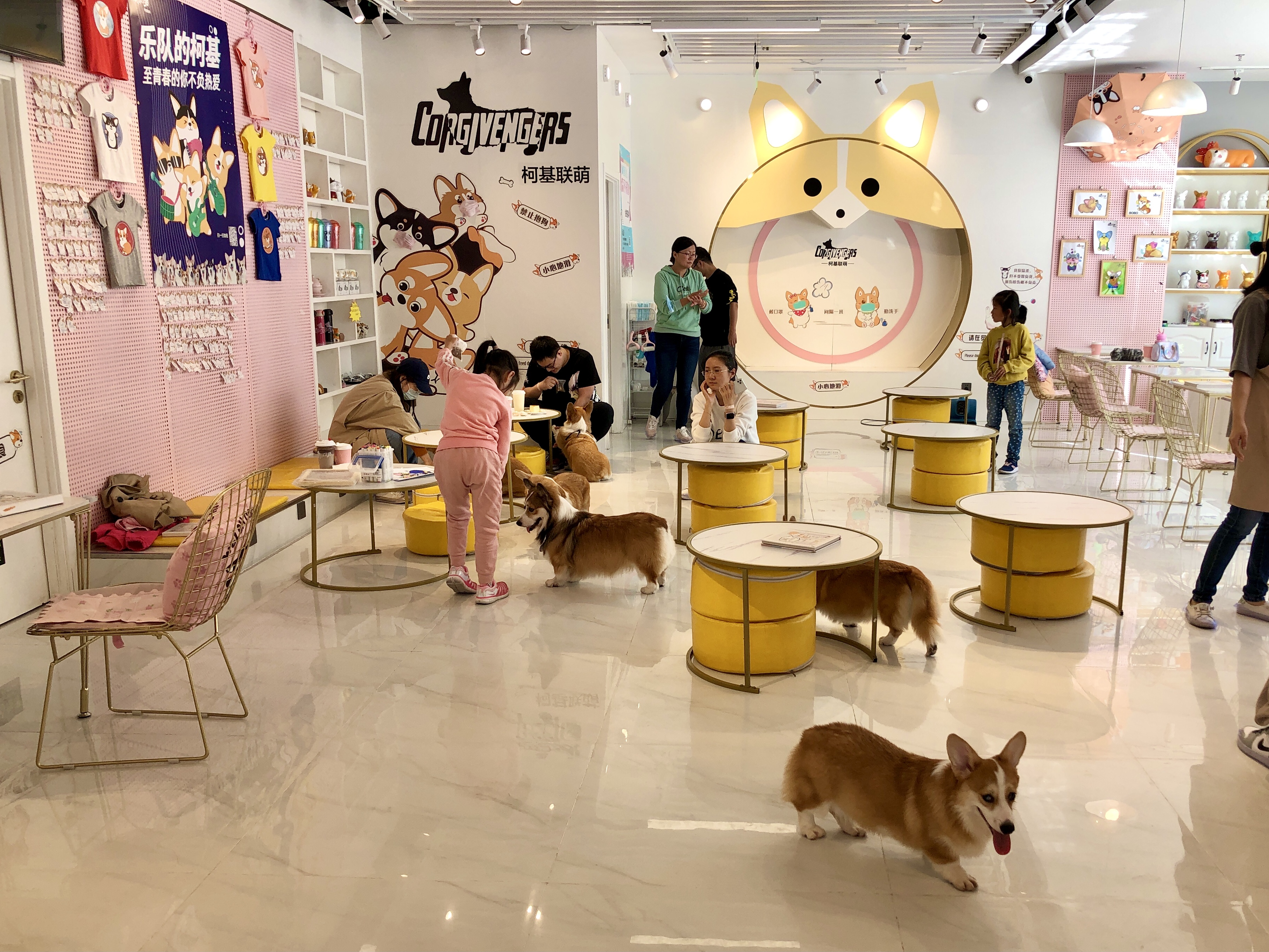 撸动物的网红店顺德,撸小动物的网红店北京世纪金源