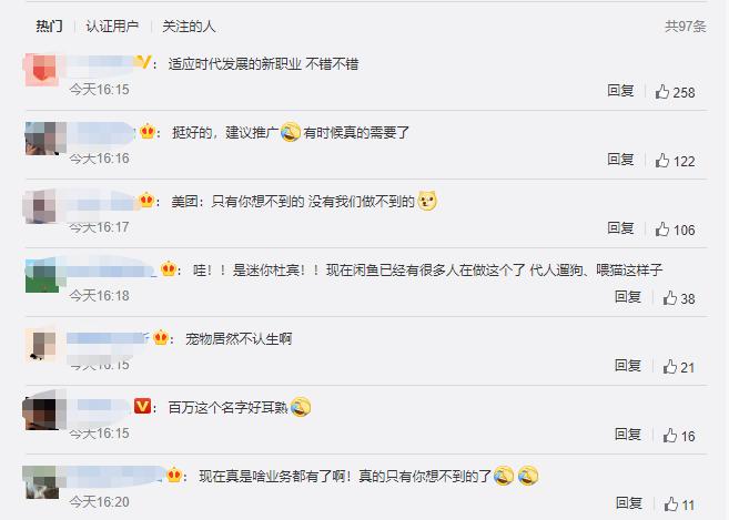 铲屎官领狗狗旅游,铲屎官不在家应该怎么安顿狗狗