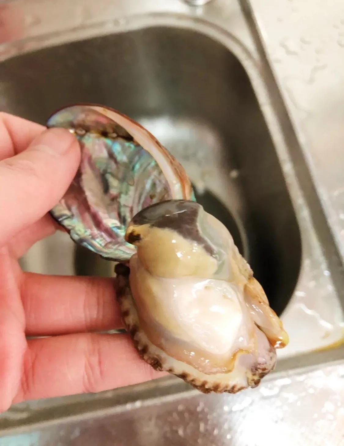 小鲍鱼怎么处理口感好,处理小鲍鱼