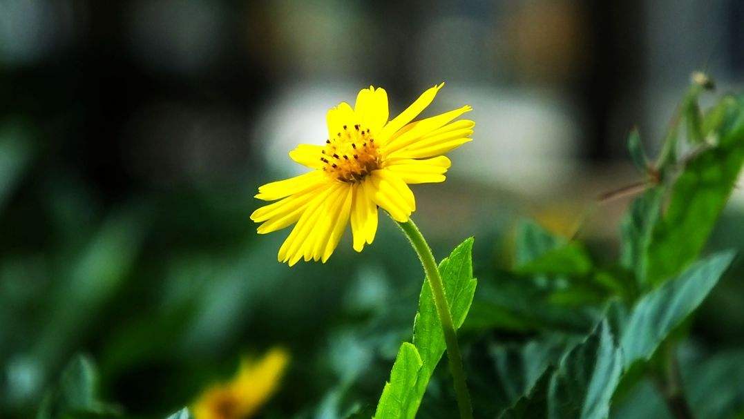 圆滑的人高情商的表现,一个人做事圆滑就是情商高