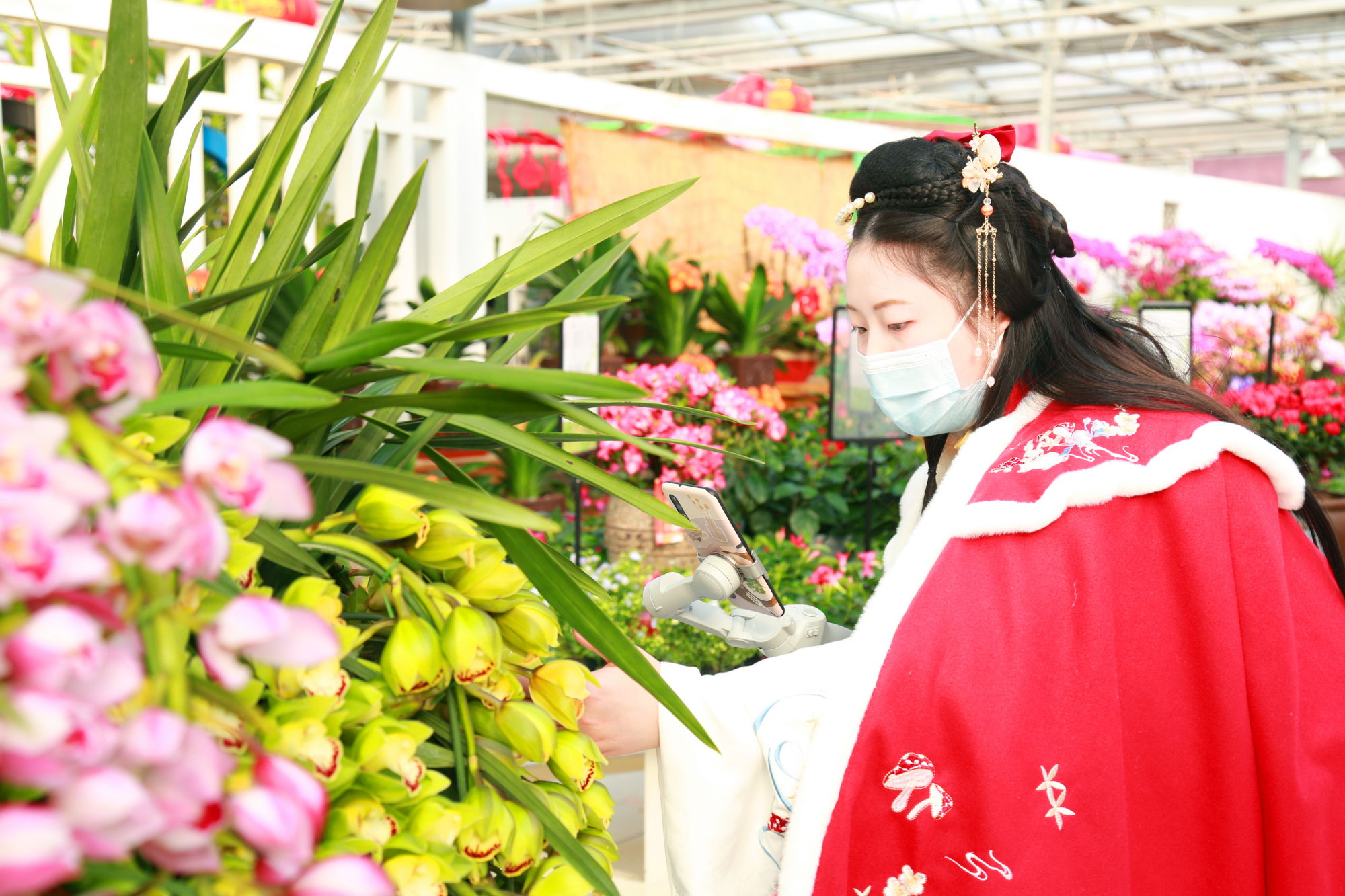 买年花添年味丰台花乡花木集团打出线上线下销售组合拳