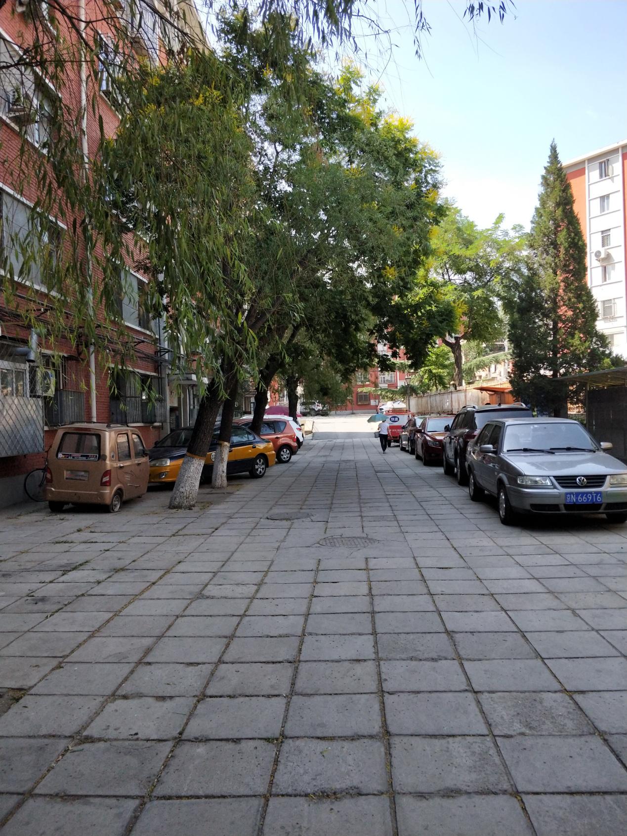 名菜传人：虽然得了老年痴呆，但说起做菜他神采奕奕