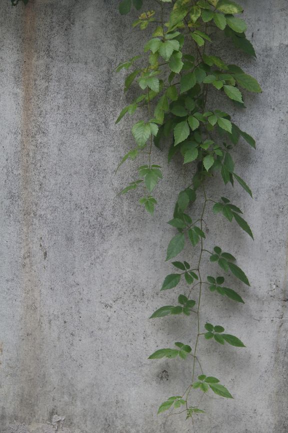 比60d高端的相机,60d单反相机价格