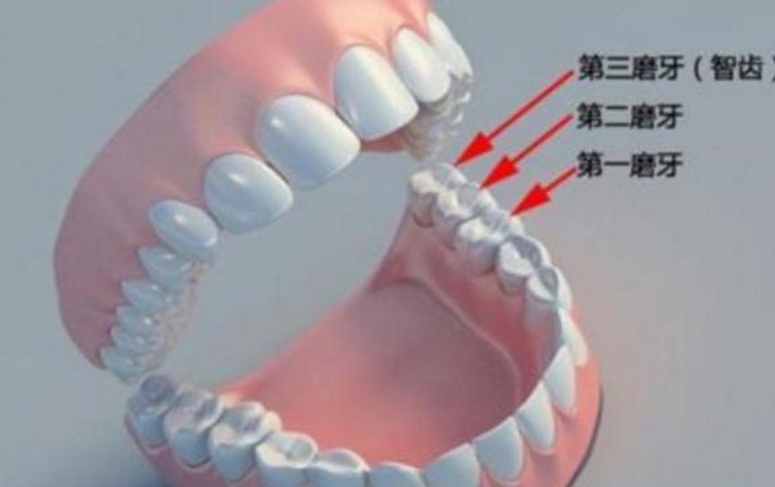 为什么智齿上面的牙龈很臭,为啥智齿臭