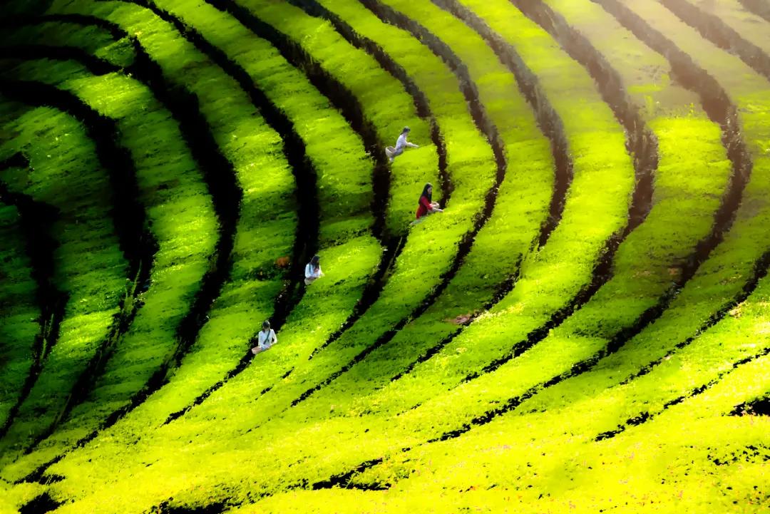 走向我们的小康生活9张海报,幸福新时代主题摄影作品