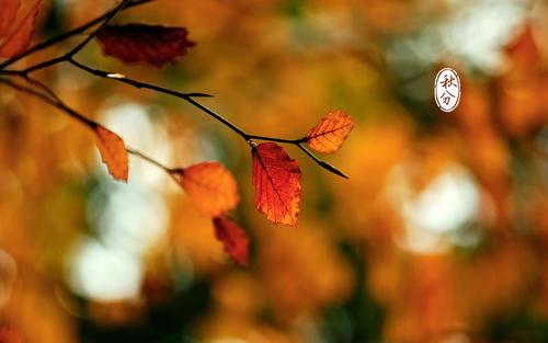 10首秋分诗词窥见古人的秋分时节,最经典的十首秋分诗词大全