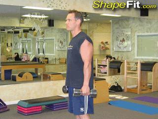 减脂健身计划一周表,减脂健身计划一周表图