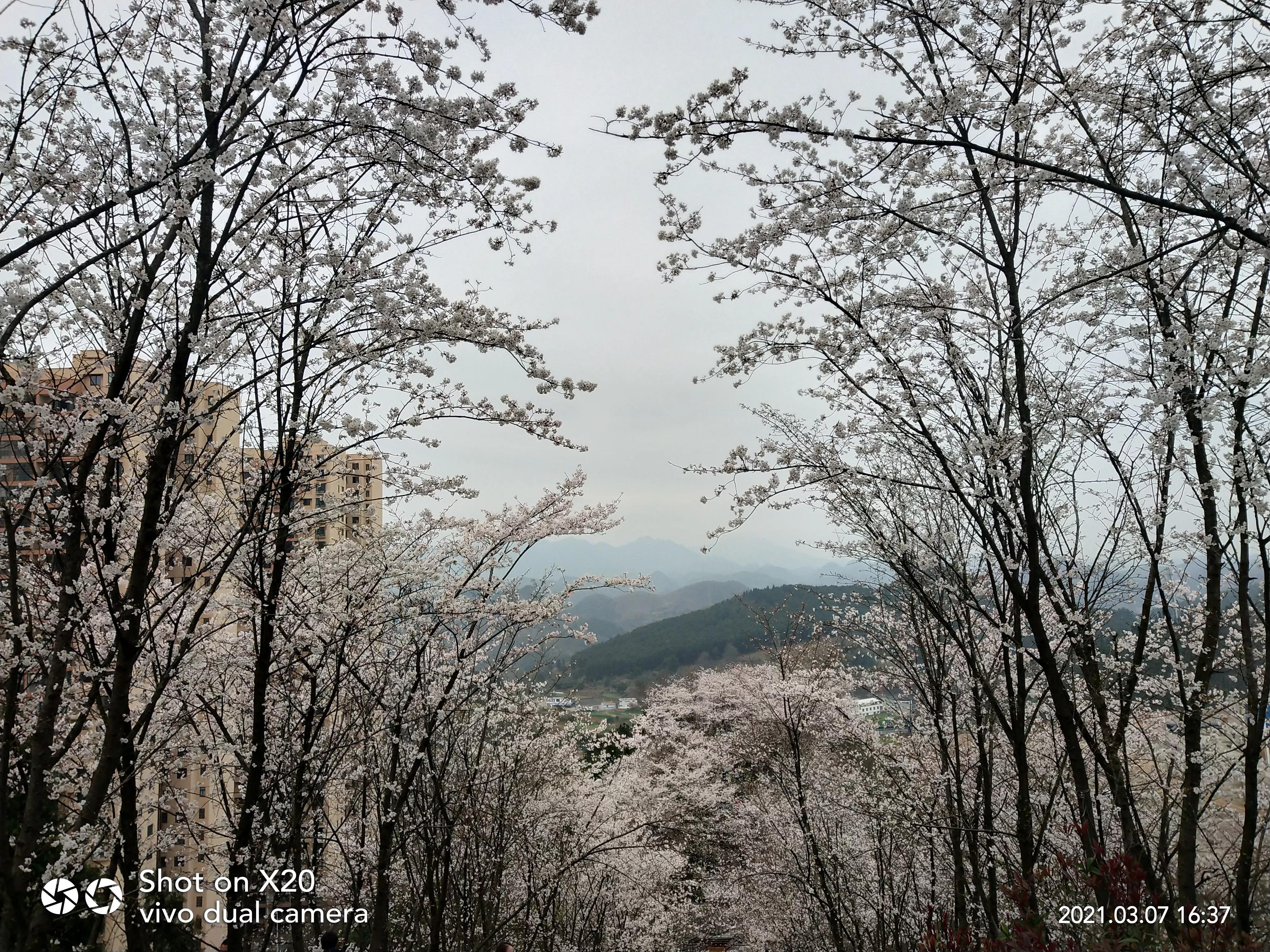 家有高中生家长该不该陪读,家有高中生家长的感悟