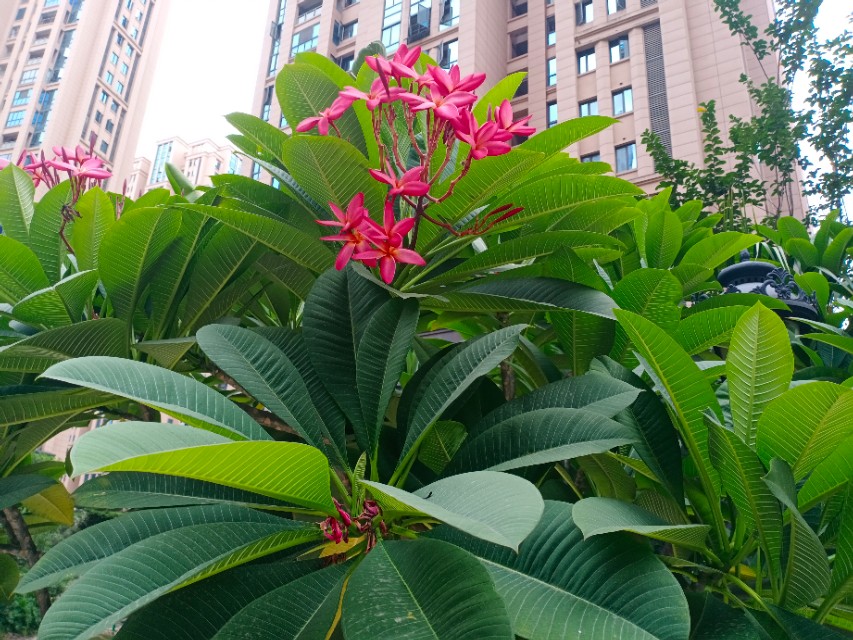 我的第一块智能手表,我的第一块运动手表