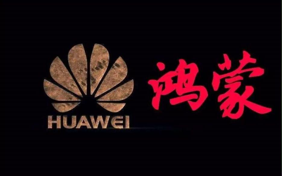 任正非华为发展策略,任正非100%控股华为吗