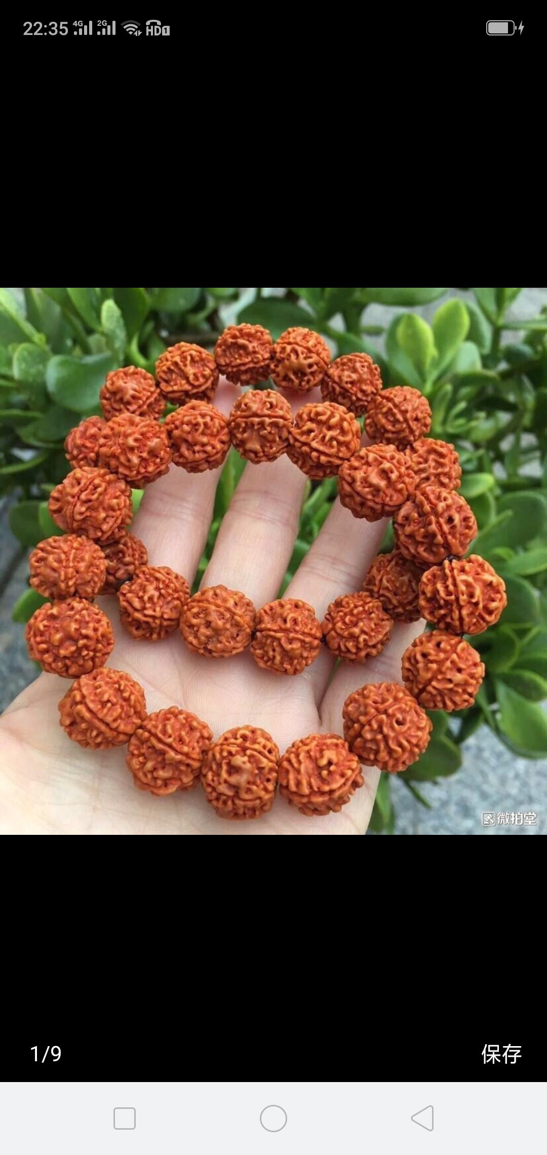 文玩核桃蛤蟆头产地,文玩核桃产地哪里的最好