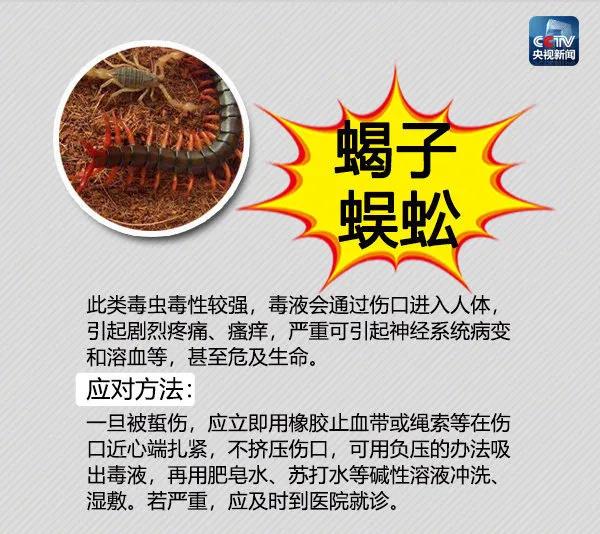 常年在垃圾桶旁边的蛇,垃圾桶里面有一条大蟒蛇