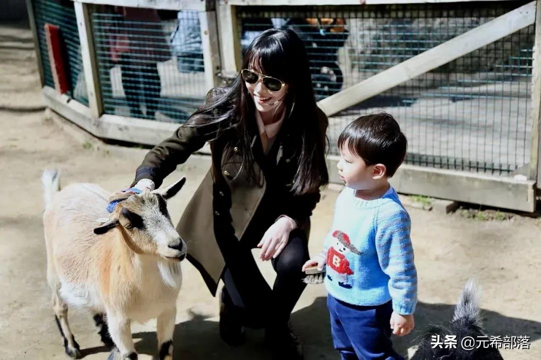 芝加哥周边小城旅游攻略,芝加哥旅游路线地图