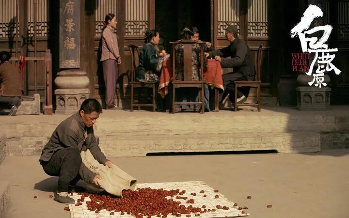 白鹿原书评200字,白鹿原小说经典书评