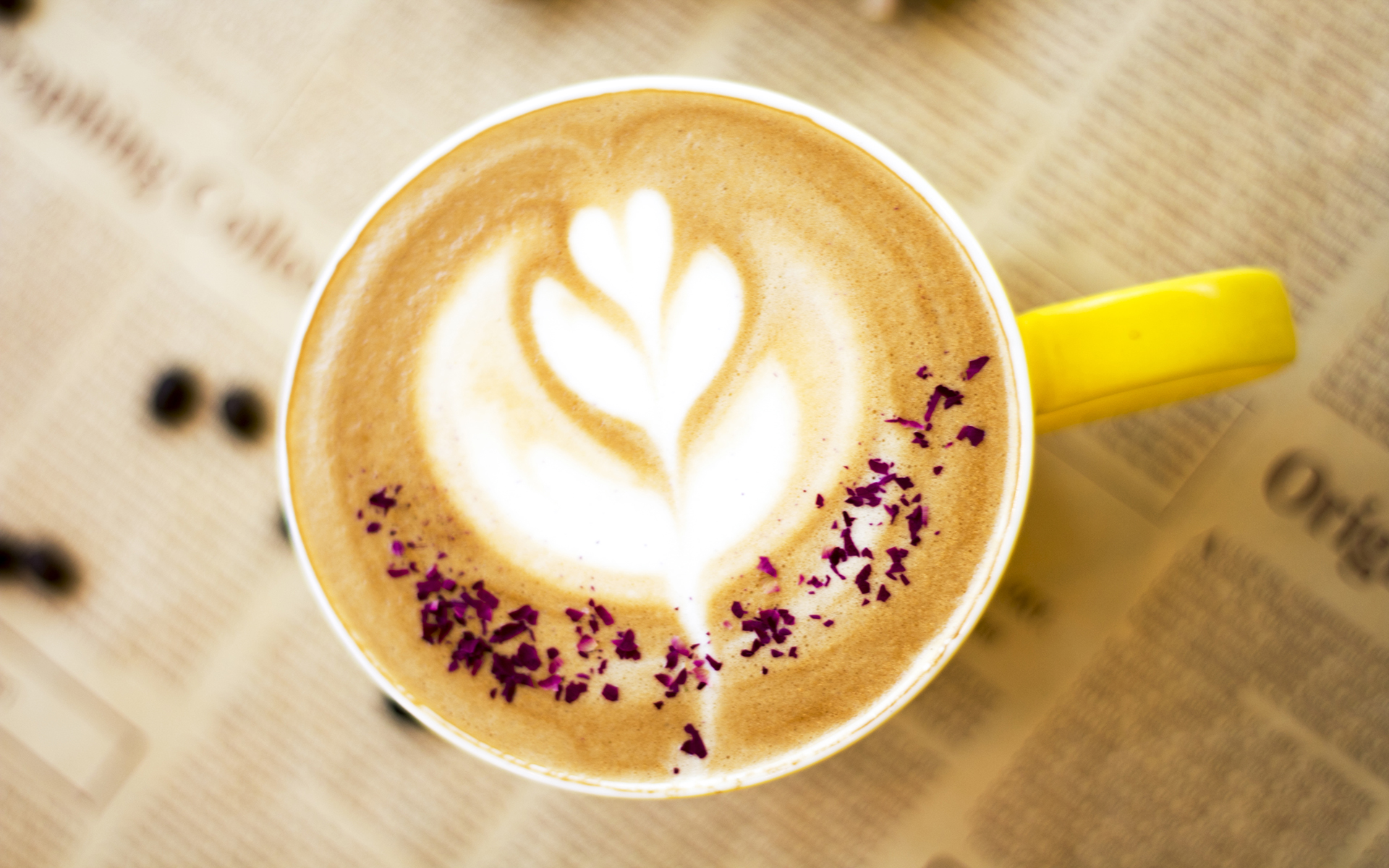 中年发迹的人有哪些特征,中年发迹的人的特点