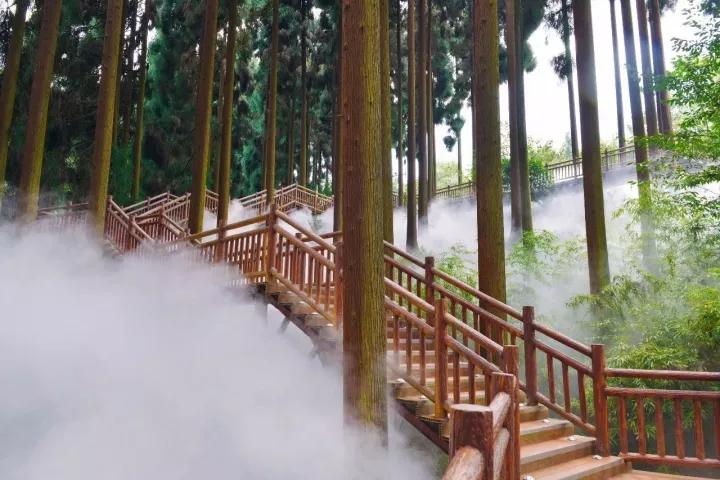 李子柒令人向往的世外桃源生活,李子柒记录的简单淳朴的田园生活