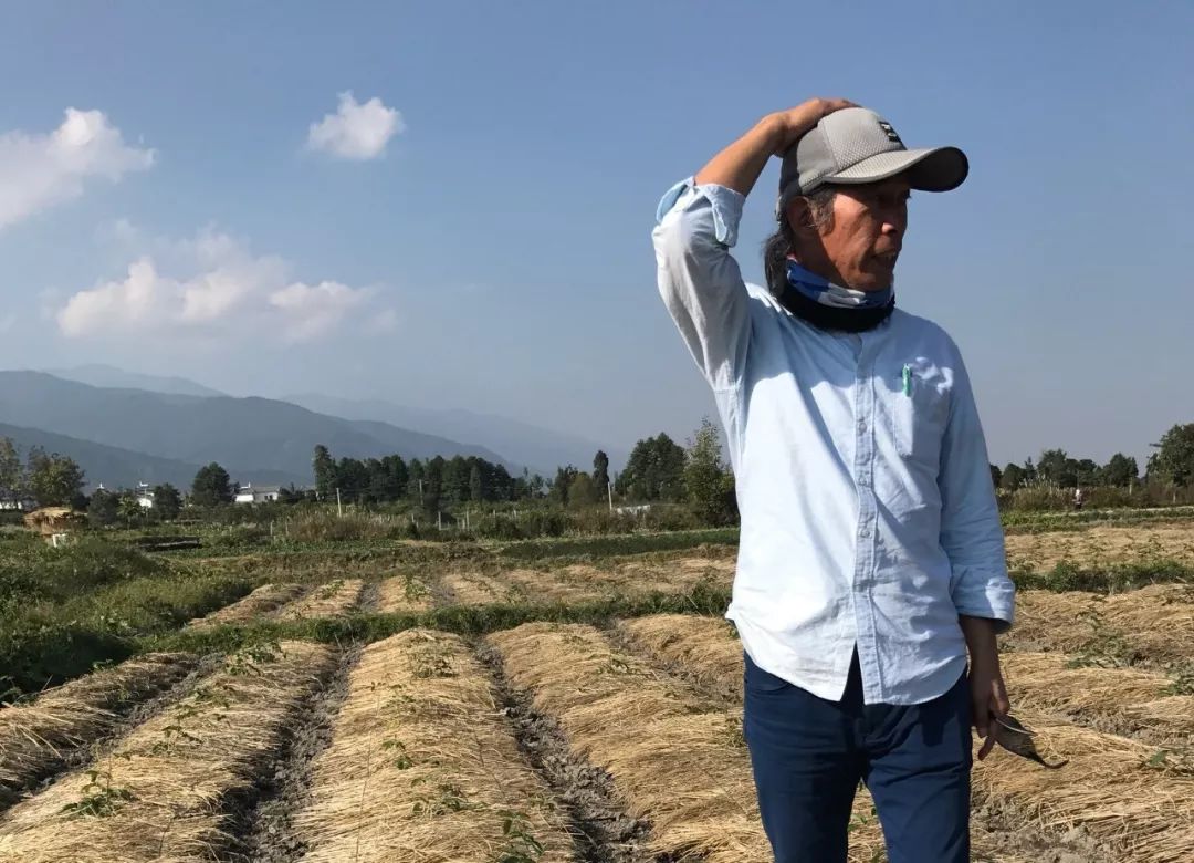 让农业回归原生态,呼唤传统农业回归