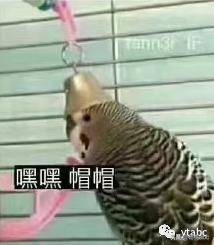 南极人羽绒被怎么样,南极人羊毛冬被