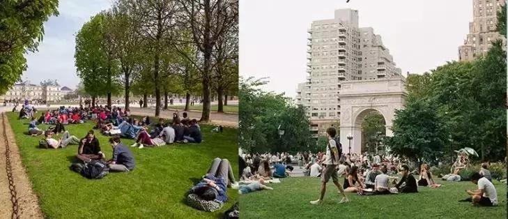 努力考进了纽约大学,我却输在了美国大学“起跑线”上