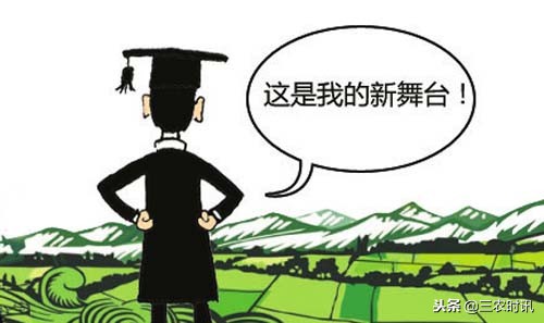 土地流转增加农民收入,土地流转带动农民致富