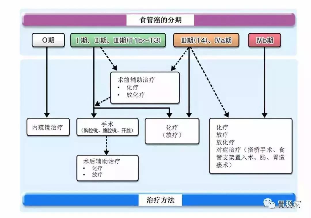 倪海厦治疗食道癌的成功案例,福永哲教授