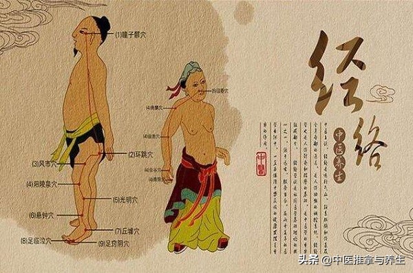 穴位简便易学取穴法,穴位及取穴法