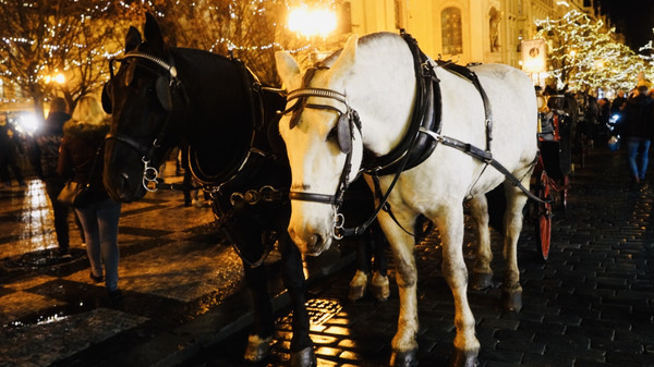 为什么布拉格是恋爱的城市,布拉格的城市图片