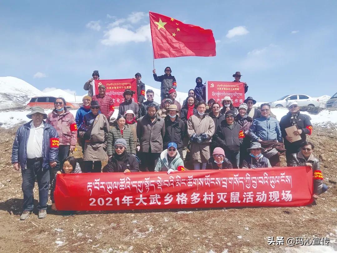 玛沁县草原,玛沁草原