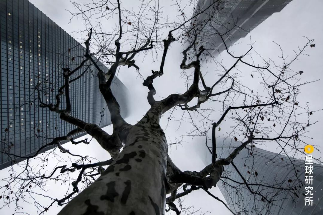 每一张图都有一个故事你想听哪个,每一张图都是清晰的记忆