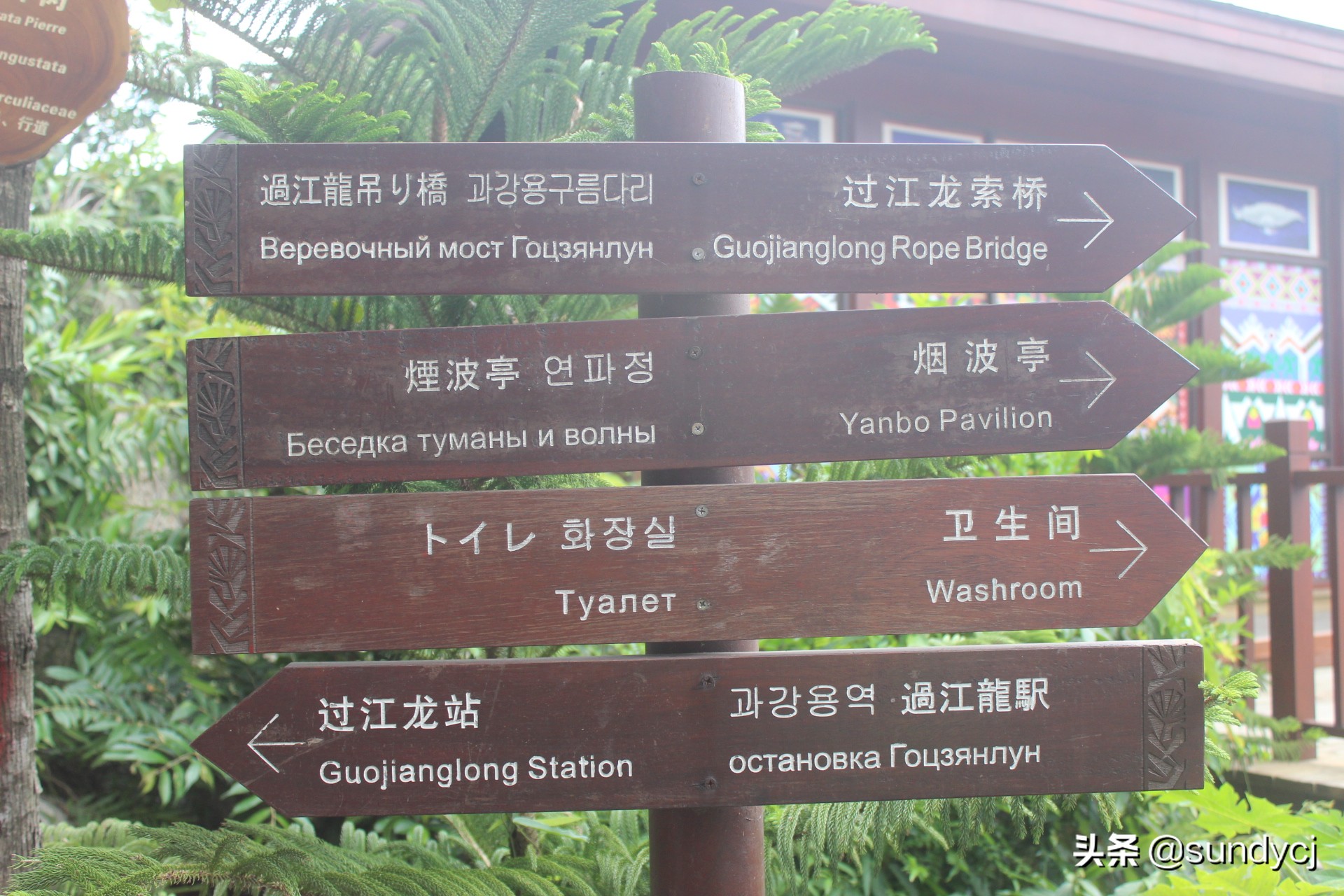 小奔奔,长安新能源奔奔自驾游西藏