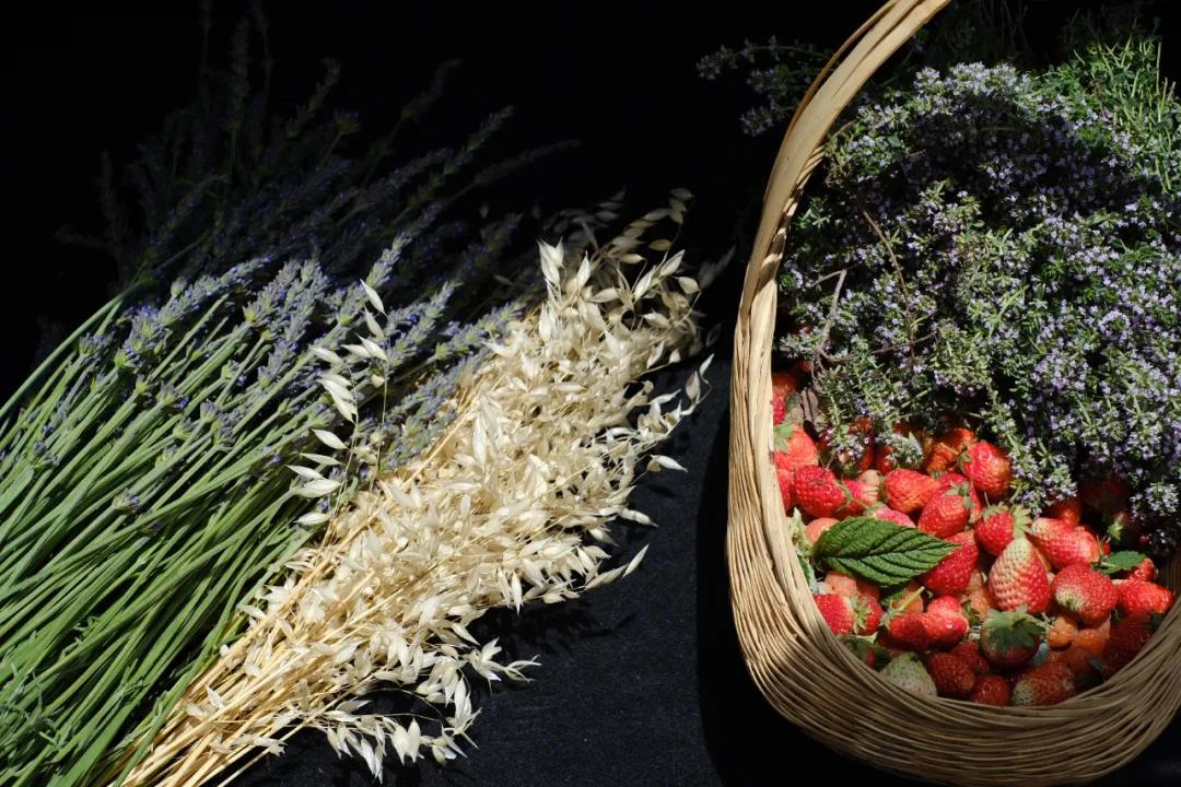 让农业真正回归照顾生命