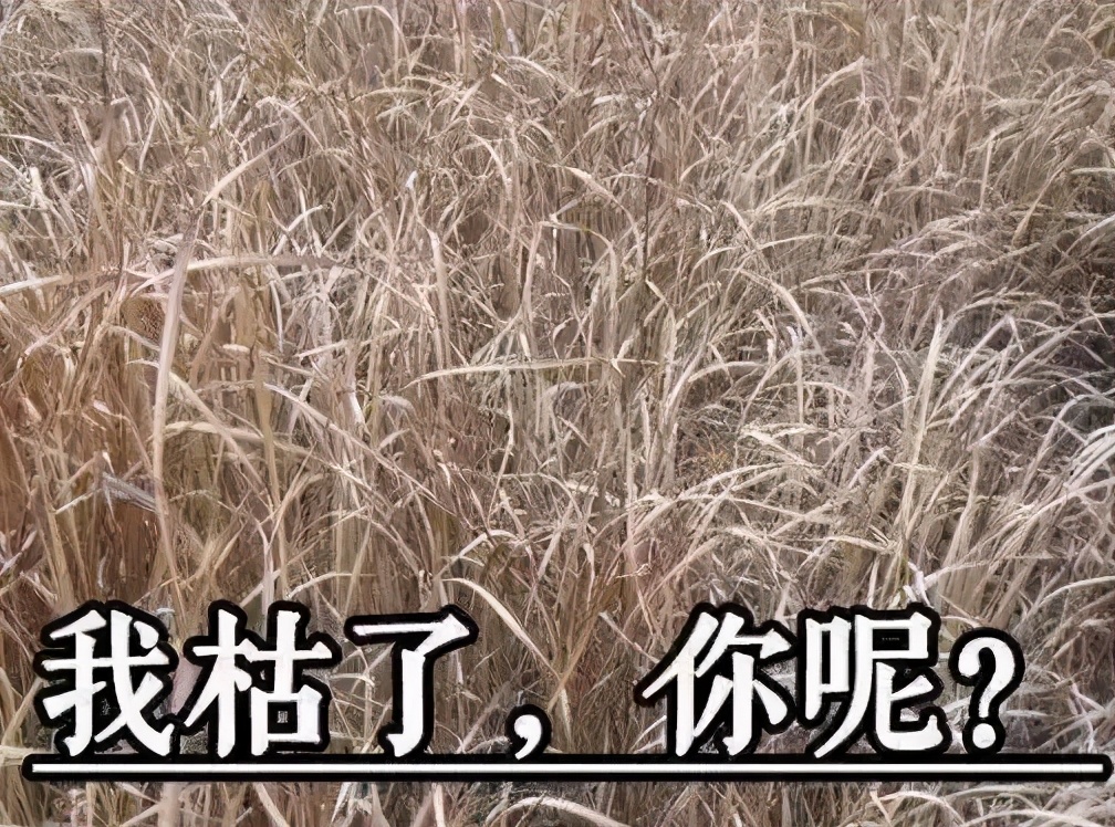 消防安全的原因,消防设备导致的火灾