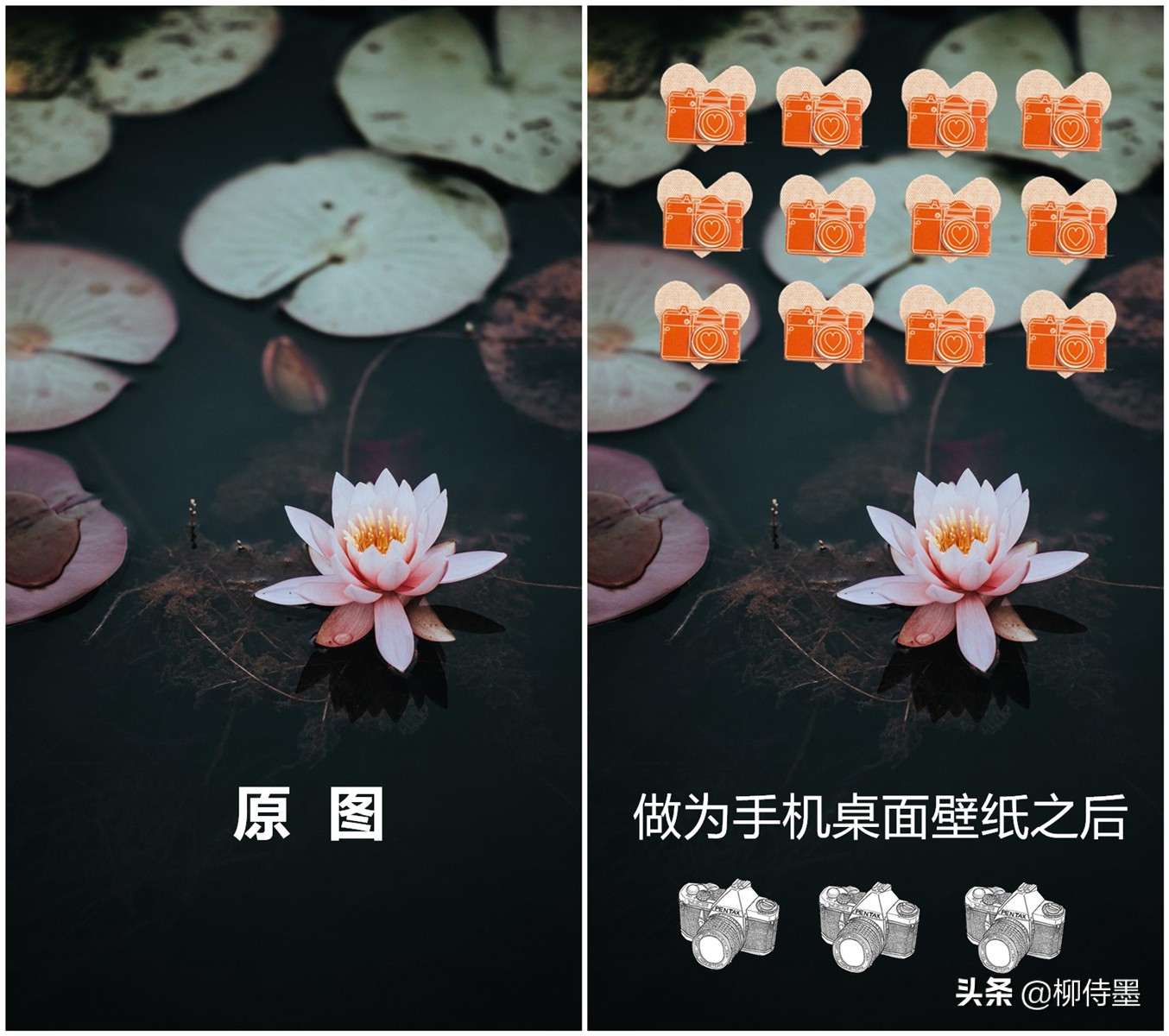 海边人像屏保拍摄技巧,人像屏保怎么拍摄好看