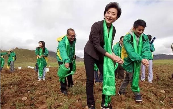 蒙古族的哈达是什么样式的,蒙古族不同颜色的哈达象征什么